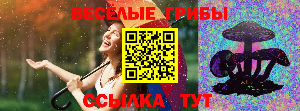 Коркино  Галлюциногенные грибы Magic Shrooms  купить наркотик  Вход с VPN 