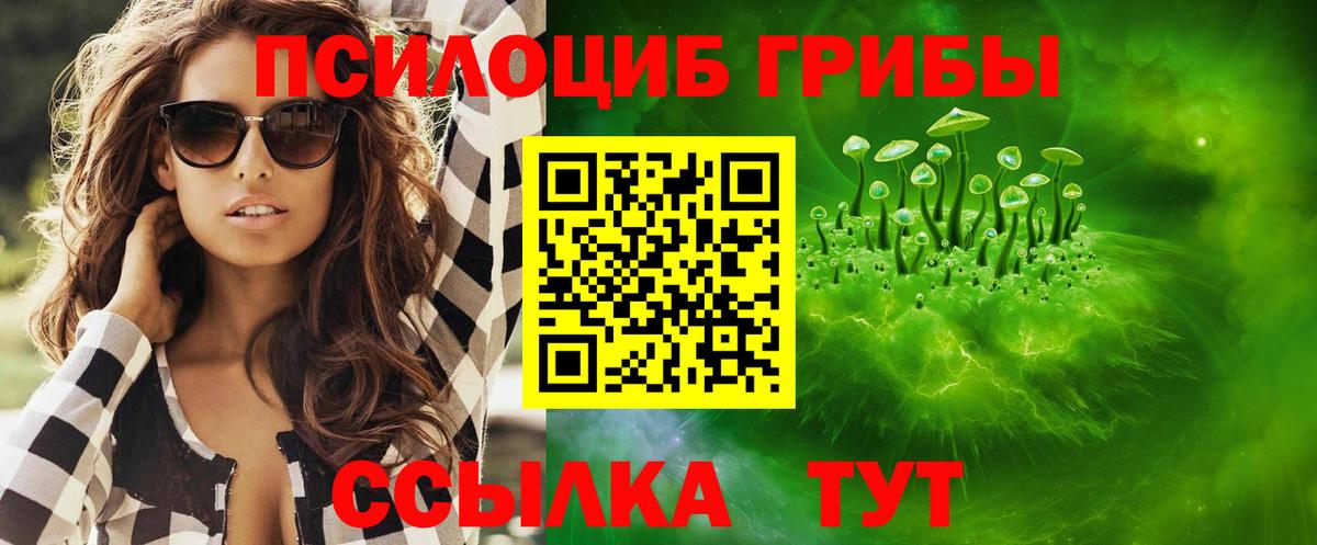 Псилоцибиновые грибы прущие грибы Коркино